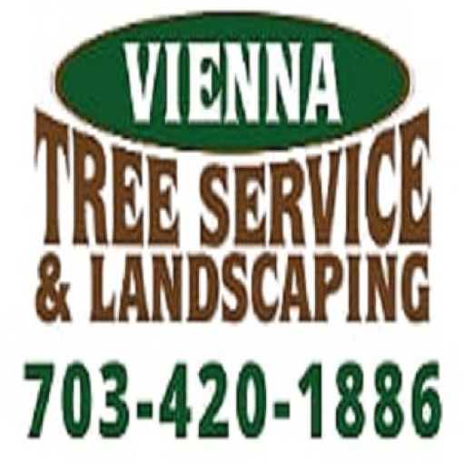 Vienna Tree Service  Landscaping