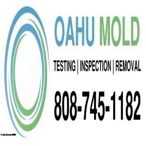 Oahu Mold Testing Removal