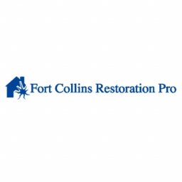 Mold Remediation Fort Collins