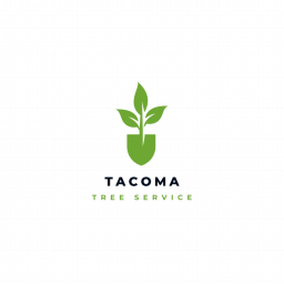Tacoma Tree Service