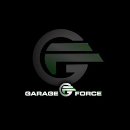 Garage Force of San Antonio